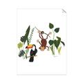 Picture of Hanging in the rainforest I _GroupedProduct_Rectangle_Portrait_Mini_ _GroupedProduct_Rectangle_Portrait_Unframed_Print_Only_