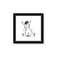 Picture of Baby Zebra _GroupedProduct_Square_Mini_ _GroupedProduct_Square_Framed_Matted_