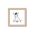Picture of Baby Zebra _GroupedProduct_Square_Mini_ _GroupedProduct_Square_Framed_Matted_