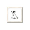 Picture of Baby Zebra _GroupedProduct_Square_Mini_ _GroupedProduct_Square_Framed_Matted_