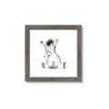 Picture of Baby Zebra _GroupedProduct_Square_Mini_ _GroupedProduct_Square_Framed_Matted_