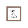 Picture of Baby Zebra _GroupedProduct_Square_Mini_ _GroupedProduct_Square_Framed_Matted_