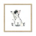 Picture of Baby Zebra _GroupedProduct_Square_Mini_ _GroupedProduct_Square_Framed_Matted_