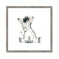 Picture of Baby Zebra _GroupedProduct_Square_Mini_ _GroupedProduct_Square_Framed_Matted_