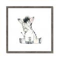 Picture of Baby Zebra _GroupedProduct_Square_Mini_ _GroupedProduct_Square_Framed_Matted_