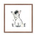 Picture of Baby Zebra _GroupedProduct_Square_Mini_ _GroupedProduct_Square_Framed_Matted_