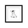 Picture of Baby Zebra _GroupedProduct_Square_Mini_ _GroupedProduct_Square_Framed_Matted_