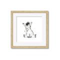 Picture of Baby Zebra _GroupedProduct_Square_Mini_ _GroupedProduct_Square_Framed_Matted_