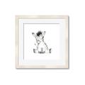 Picture of Baby Zebra _GroupedProduct_Square_Mini_ _GroupedProduct_Square_Framed_Matted_