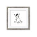 Picture of Baby Zebra _GroupedProduct_Square_Mini_ _GroupedProduct_Square_Framed_Matted_