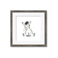 Picture of Baby Zebra _GroupedProduct_Square_Mini_ _GroupedProduct_Square_Framed_Matted_