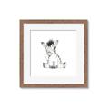 Picture of Baby Zebra _GroupedProduct_Square_Mini_ _GroupedProduct_Square_Framed_Matted_