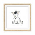 Picture of Baby Zebra _GroupedProduct_Square_Mini_ _GroupedProduct_Square_Framed_Matted_