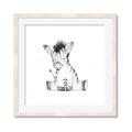 Picture of Baby Zebra _GroupedProduct_Square_Mini_ _GroupedProduct_Square_Framed_Matted_