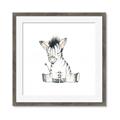 Picture of Baby Zebra _GroupedProduct_Square_Mini_ _GroupedProduct_Square_Framed_Matted_
