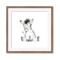 Picture of Baby Zebra _GroupedProduct_Square_Mini_ _GroupedProduct_Square_Framed_Matted_