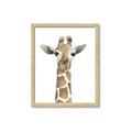 Picture of Giraffe Peekaboo _GroupedProduct_Rectangle_Portrait_Mini_ _GroupedProduct_Rectangle_Portrait_Framed_Matted_
