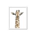 Picture of Giraffe Peekaboo _GroupedProduct_Rectangle_Portrait_Mini_ _GroupedProduct_Rectangle_Portrait_Framed_Matted_