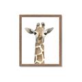 Picture of Giraffe Peekaboo _GroupedProduct_Rectangle_Portrait_Mini_ _GroupedProduct_Rectangle_Portrait_Framed_Matted_