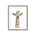 Picture of Giraffe Peekaboo _GroupedProduct_Rectangle_Portrait_Mini_ _GroupedProduct_Rectangle_Portrait_Framed_Matted_