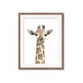 Picture of Giraffe Peekaboo _GroupedProduct_Rectangle_Portrait_Mini_ _GroupedProduct_Rectangle_Portrait_Framed_Matted_