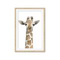 Picture of Giraffe Peekaboo _GroupedProduct_Rectangle_Portrait_Mini_ _GroupedProduct_Rectangle_Portrait_Framed_Matted_