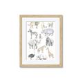 Picture of Zoo  Life _GroupedProduct_Rectangle_Portrait_Framed_Matted_