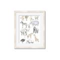 Picture of Zoo  Life _GroupedProduct_Rectangle_Portrait_Framed_Matted_