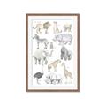 Picture of Zoo  Life _GroupedProduct_Rectangle_Portrait_Framed_Matted_