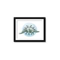 Picture of Stegosaurus _GroupedProduct_Rectangle_Landscape_Mini_ _GroupedProduct_Rectangle_Landscape_Framed_Matted_