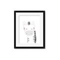 Picture of Gray Zebra _GroupedProduct_Rectangle_Portrait_Mini_ _GroupedProduct_Rectangle_Portrait_Framed_Matted_