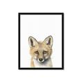 Picture of Foxy Baby _GroupedProduct_Rectangle_Portrait_Mini_ _GroupedProduct_Rectangle_Portrait_Framed_Matted_