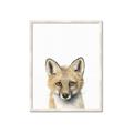 Picture of Foxy Baby _GroupedProduct_Rectangle_Portrait_Mini_ _GroupedProduct_Rectangle_Portrait_Framed_Matted_