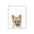 Picture of Foxy Baby _GroupedProduct_Rectangle_Portrait_Mini_ _GroupedProduct_Rectangle_Portrait_Framed_Matted_
