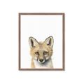 Picture of Foxy Baby _GroupedProduct_Rectangle_Portrait_Mini_ _GroupedProduct_Rectangle_Portrait_Framed_Matted_