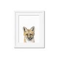 Picture of Foxy Baby _GroupedProduct_Rectangle_Portrait_Mini_ _GroupedProduct_Rectangle_Portrait_Framed_Matted_