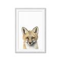 Picture of Foxy Baby _GroupedProduct_Rectangle_Portrait_Mini_ _GroupedProduct_Rectangle_Portrait_Framed_Matted_