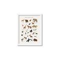 Picture of Animal Alphabet _GroupedProduct_Rectangle_Portrait_Framed_Matted_