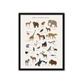 Picture of Animal Alphabet _GroupedProduct_Rectangle_Portrait_Framed_Matted_