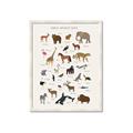 Picture of Animal Alphabet _GroupedProduct_Rectangle_Portrait_Framed_Matted_