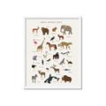 Picture of Animal Alphabet _GroupedProduct_Rectangle_Portrait_Framed_Matted_