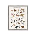 Picture of Animal Alphabet _GroupedProduct_Rectangle_Portrait_Framed_Matted_
