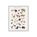 Picture of Animal Alphabet _GroupedProduct_Rectangle_Portrait_Framed_Matted_