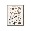 Picture of Animal Alphabet _GroupedProduct_Rectangle_Portrait_Framed_Matted_