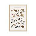 Picture of Animal Alphabet _GroupedProduct_Rectangle_Portrait_Framed_Matted_