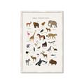 Picture of Animal Alphabet _GroupedProduct_Rectangle_Portrait_Framed_Matted_