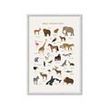 Picture of Animal Alphabet _GroupedProduct_Rectangle_Portrait_Framed_Matted_