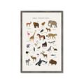 Picture of Animal Alphabet _GroupedProduct_Rectangle_Portrait_Framed_Matted_