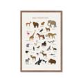 Picture of Animal Alphabet _GroupedProduct_Rectangle_Portrait_Framed_Matted_