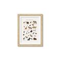 Picture of Animal Alphabet _GroupedProduct_Rectangle_Portrait_Framed_Matted_